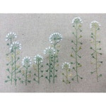 54 Likes, 4 Comments - 최은교 (@choe6986) on Instagram: “#냉이꽃 #야생화자수 #봄”