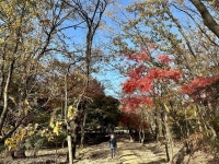 김포 장릉 | 김포장릉 세계문화유산 소개 1탄 - 장릉 주차 | 장릉 입장료 김포 장릉 | 김포장릉 세계문화유산 소개 1탄 - 장릉 주차 | 장릉... 