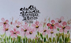 캘리그라피에 있는 김순희님의 핀 | 수채화 엽서, 꽃그림, 손글씨