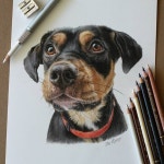 색연필 1 (colored pencil)에 있는 핀