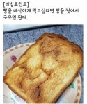 빵을 바삭하게 먹고싶다면? | 음식, 간단한 요리법, 쉬운 요리법
