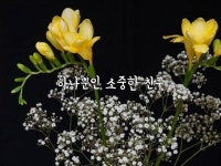 하나뿐인 소중한 친구