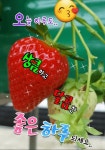 춤에 있는 9 806659님의 핀 | 좋은 아침 인사, 아침 인사, 웃긴 바탕화면