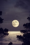 Random에 관한 20개의 최상의 Pinterest 이미지 | 가정용, 배경화면 및 점성술 Random
