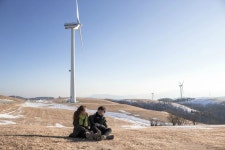 강원도 여행 갈만한 곳 대관령 삼양목장 | 여행