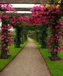 Jardim ♧에 관한 30개의 최상의 Pinterest 이미지 | 조경, 집과 정원 및 현관 갑판 Jardim ♧