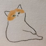 별냥이제작소 그림 on Instagram: . 이대로 한껏 더 통실통실해진 이... 되는건가 #별냥이제작소 #봄이온다 #다이어트 시급 #연남동소품샵