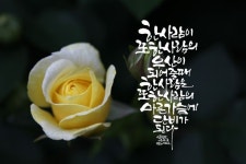 치스예린캘리그라피에 있는 김예린(치스예린캘리그라피)님의 핀 | 수채화 인쇄, 수채화