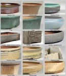 Bonsai-do에 관한 74개의 최상의 Pinterest 이미지 | 식물, 정원 가꾸기 및 조경 Bonsai-do