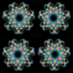 Pin de 하윤밍 em 정디