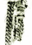t212_KW_손선희_w02_08