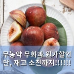 [별농장 바른식탁] 산지직송, 친환경, 유기농 로컬푸드 직매장 별농장 바른식탁 | 무화과, 키친