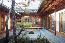 디자이너 양태오 - 한옥에 살며 비로소 눈뜬 것들