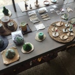 울랑울랑 제주 : 네이버 블로그