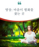 명상: 마음이 평화를 찾는 곳 | Finding peace, Meditation, Peace