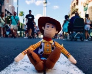 디즈니랜드 우디 Woody