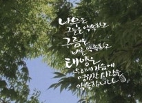 글에 있는 요한 김님의 핀 | 수채화 인쇄, 칼리그래피 아트, 꽃