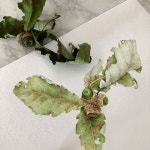 행복한 주말 보내세요~! . . #색연필화 #색연필일러스트 #색연필드로잉#색연필그림 #손그림 #취미미술 #아트클래스 #미누부티크 #프리즈마... 