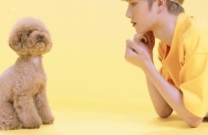 TXT5Stars — 귀여운 빠방이 in 2020 | Teddy, Teddy bear, Animals