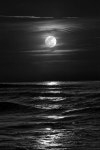 Moonrise over the sea | 자연 사진, 야채 그림, 풍경 그림
