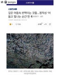 *청봉옻칠공방은 아리지안의 작업실 이름입니다. #Repost @jeongzs ・・・ 스포츠서울 김효원 기자님께서 개인전 소식 올려주셨네요.... 