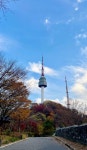 남산타워 ✨