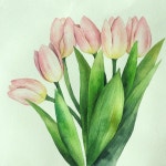 두드려보세요~~ #전주혁신도시수채화 #전주혁신도시성인미술 #취미미술 | Painting, Watercolor paintings, Watercolor 여리여리 핑크 #튤립... 