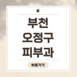 부천시 오정구 피부과 추천 BEST 5｜전문의, 보톡스, 여드름, 리프팅, 필러, 기미, 잡티, 제모, 필러, 후기, 잘하는 곳 총정리 - 정보창고... 