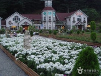 Pocheon Herb Island (포천 허브아일랜드) : VISITKOREA Pocheon Herb Island (포천 허브아일랜드) | Official Korea Tourism... 