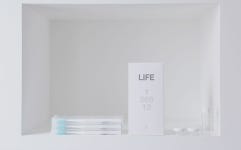 10x10: 라이프 365 칫솔 12개SET (new package) | 치약, 인테리어