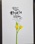 캘리그라피에 있는 김순희님의 핀 - 2025 | 손글씨 문구, 손글씨, 문구