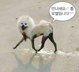 ボード「낭만적인 사진」のピン