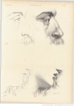 Pin by 장 이 on Pintar es un arte. in 2020 | Human anatomy art, Portrait drawing, Master drawing
