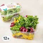 피그인더가든 프레쉬믹스 베이직샐러드, 70g, 2개