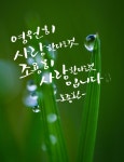 영원히 사랑한다는것