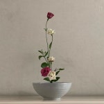 소요유플라워 on Instagram: “Line . . . . . #flower #florist... rose#소요유플라워 #소요유 #soyoyuflower#soyoyu#다화…”