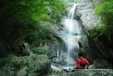Old Pop, 솔밭사이로 강물은 흐르고,The River in the Pines Old Pop, 솔밭사이로 강물은 흐르고,The River in the Pines in 2024... 