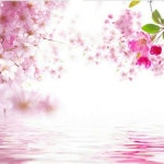 Flower all에 있는 Christza ParkOng님의 핀