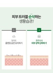 엠앤플러스 메디나인 센텔라 리페어 크림 50ml | 마이뷰팁 - 2020 | 웹디자인, 레이아웃, 시어버터