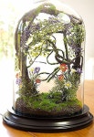 테라리움 | Snow globes, Home decor, Decor