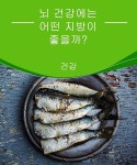 뇌 건강에는 어떤 지방이 좋을까? — 건강을 위한 발걸음 - 2020 | 영양, 건강한, 치과
