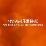 살림의여왕님의 스토리 | 풍수, 육아