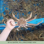 169900원 ☞ 짱가수산 영덕대게, 1박스, 선택02] 대게(중) 10마리 ☞ #영덕킹크랩싼집 #영덕대게회킹그랩랍스타센타 169900원 ☞ 짱가수산... 
