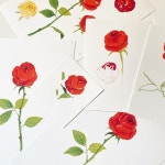 OIL PASTEL_ Flower에 있는 핀
