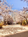 Photography에 있는 Irene님의 핀 - 2020
