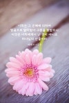 너희는 그 은혜에 의하여… #성경 #성경구절