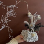 모립 3월 식물 오브제 워크숍이 오픈되었습니다🫂 이번이 작년 8월부터 소중한 많은 분들을 만나게 해준 현재 공간에서의 마지막 워크숍이 될 것... 