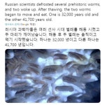 선사시대 벌레를 해동한 결과 - 2022 | 선사시대, 재미있는 문구, 재미있는 것들