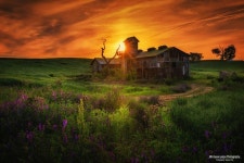 A beautiful moment - 2018년 6월 2일 안성목장 | In this moment, Scene, Beautiful moments