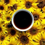 Kaffee에 관한 64개의 최상의 Pinterest 이미지 | 에스프레소, Coffee break 및 웃긴 사진 Kaffee